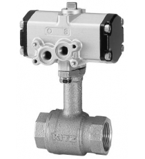 Actuator Pneumatic - C-TLE